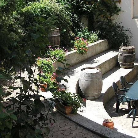 Centre Le Mittel 2* Mittelwihr